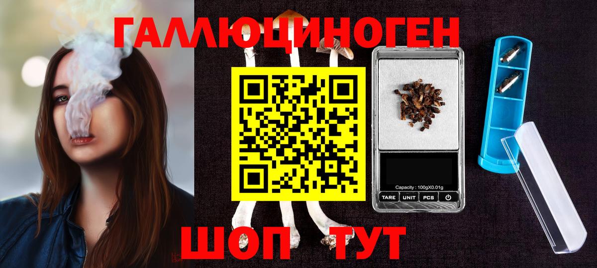 Галлюциногенные грибы Psilocybe  Псилоцибиновые грибы Cubensis  Вход с VPN  Новошахтинск 