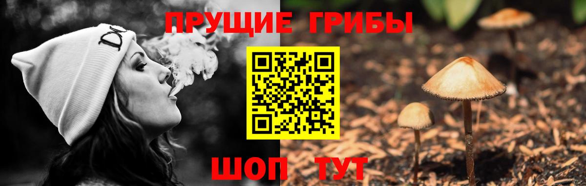 Галлюциногенные грибы MAGIC MUSHROOMS Новошахтинск